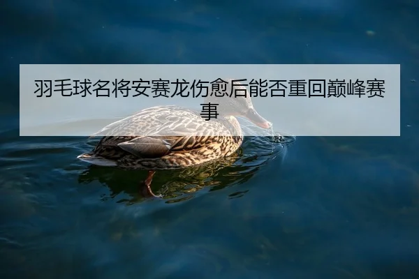 羽毛球名将安赛龙伤愈后能否重回巅峰赛事